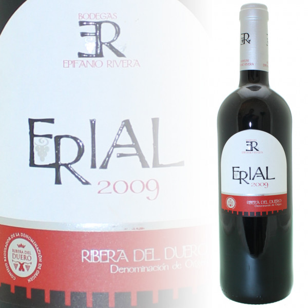 Epifanio Rivera Erial