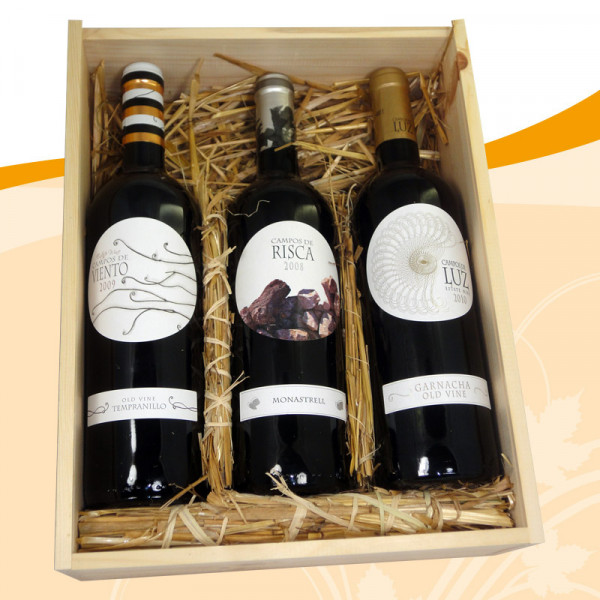 Weinpräsent Campos de Espana